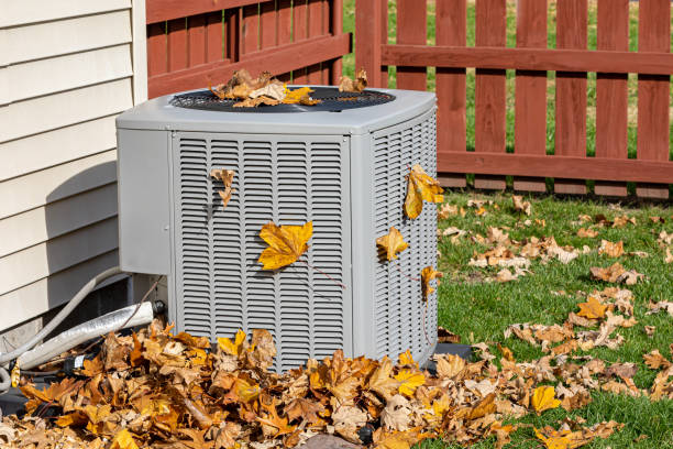 Best HVAC installation services  in Mked Tree, AR